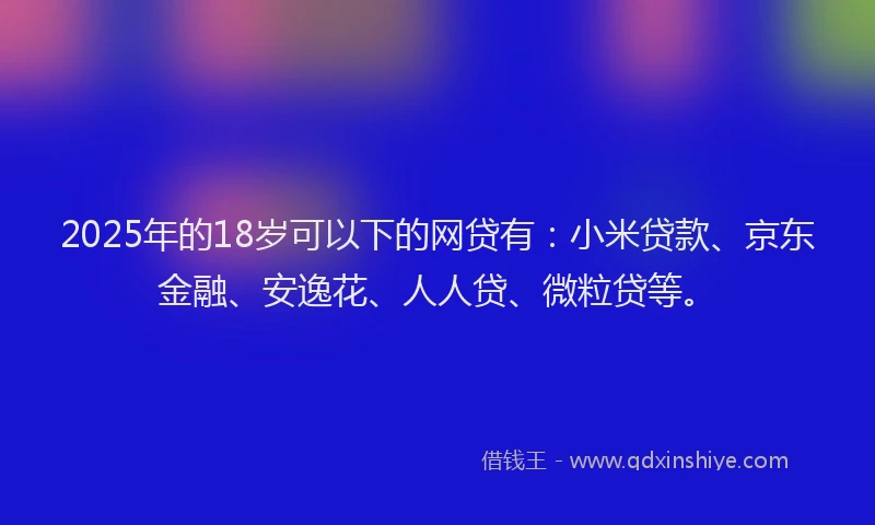 2025年的18岁可以下的网贷有：小米贷款、京东金融、安逸花、人人贷、微粒贷等。