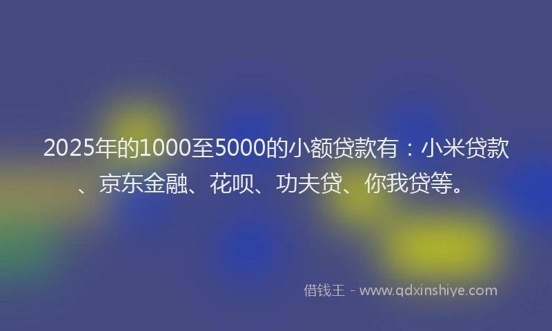 2025年的1000至5000的小额贷款有：小米贷款、京东金融、花呗、功夫贷、你我贷等。