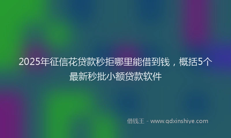 2025年征信花贷款秒拒哪里能借到钱，概括5个最新秒批小额贷款软件