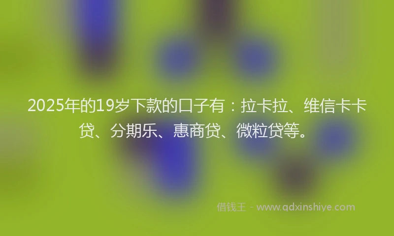 2025年的19岁下款的口子有：拉卡拉、维信卡卡贷、分期乐、惠商贷、微粒贷等。
