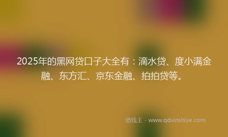 2025年的黑网贷口子大全有：滴水贷、度小满金融、东方汇、京东金融、拍拍贷等。