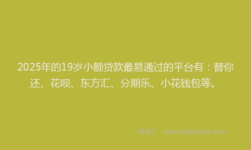 2025年的19岁小额贷款最易通过的平台有：替你还、花呗、东方汇、分期乐、小花钱包等。