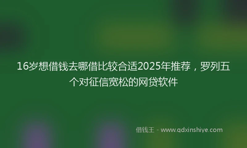16岁想借钱去哪借比较合适2025年推荐，罗列五个对征信宽松的网贷软件