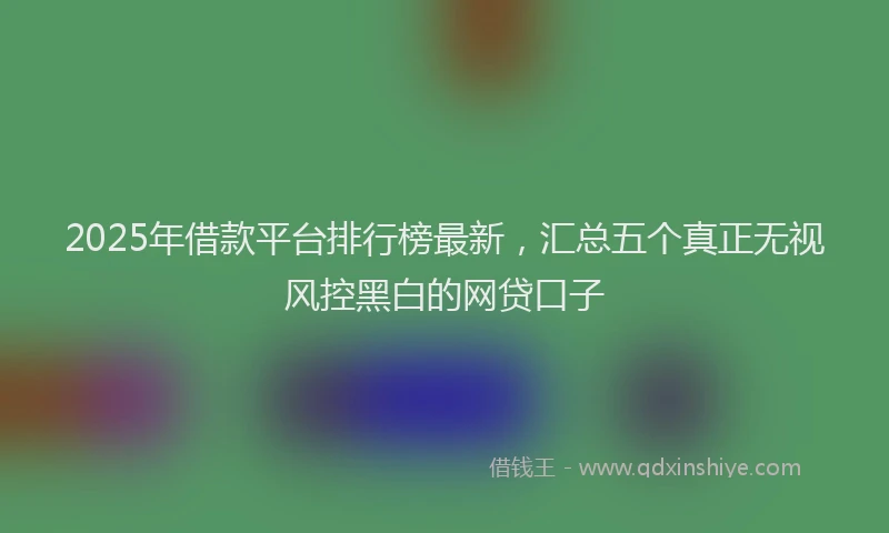 2025年借款平台排行榜最新，汇总五个真正无视风控黑白的网贷口子