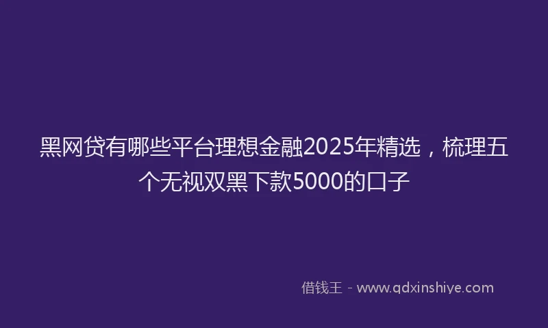黑网贷有哪些平台理想金融2025年精选，梳理五个无视双黑下款5000的口子