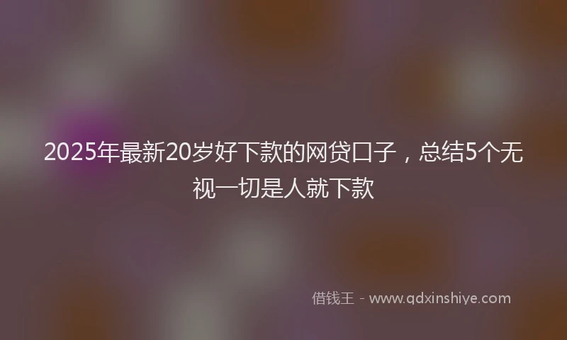2025年最新20岁好下款的网贷口子，总结5个无视一切是人就下款