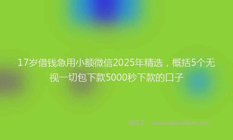 17岁借钱急用小额微信2025年精选，概括5个无视一切包下款5000秒下款的口子
