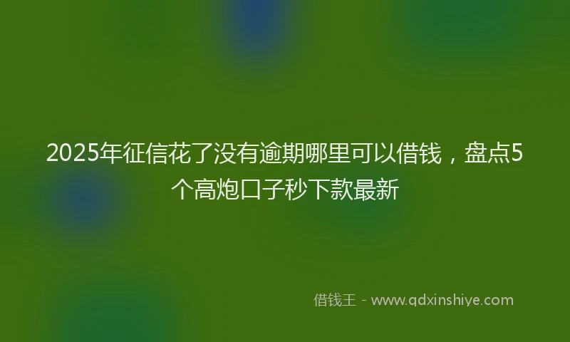 2025年征信花了没有逾期哪里可以借钱，盘点5个高炮口子秒下款最新