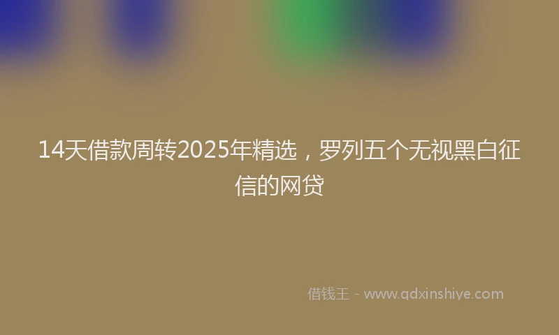 14天借款周转2025年精选，罗列五个无视黑白征信的网贷
