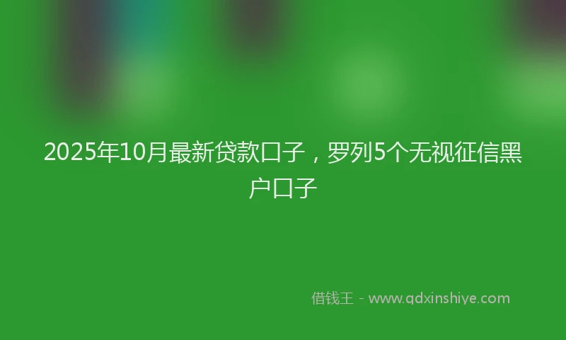 2025年10月最新贷款口子，罗列5个无视征信黑户口子