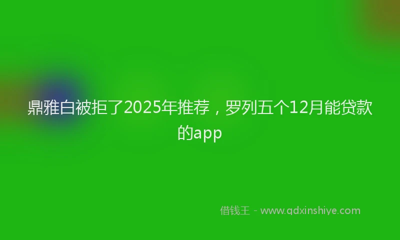 鼎雅白被拒了2025年推荐，罗列五个12月能贷款的app