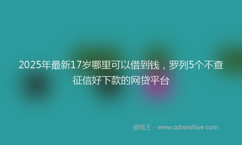2025年最新17岁哪里可以借到钱，罗列5个不查征信好下款的网贷平台