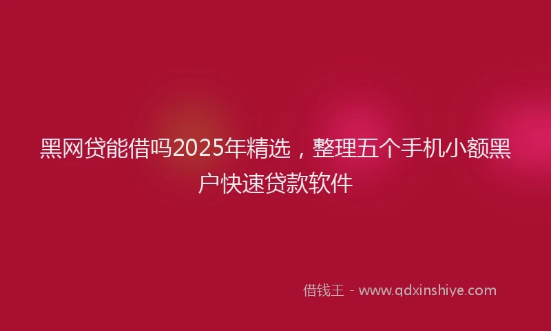 黑网贷能借吗2025年精选，整理五个手机小额黑户快速贷款软件