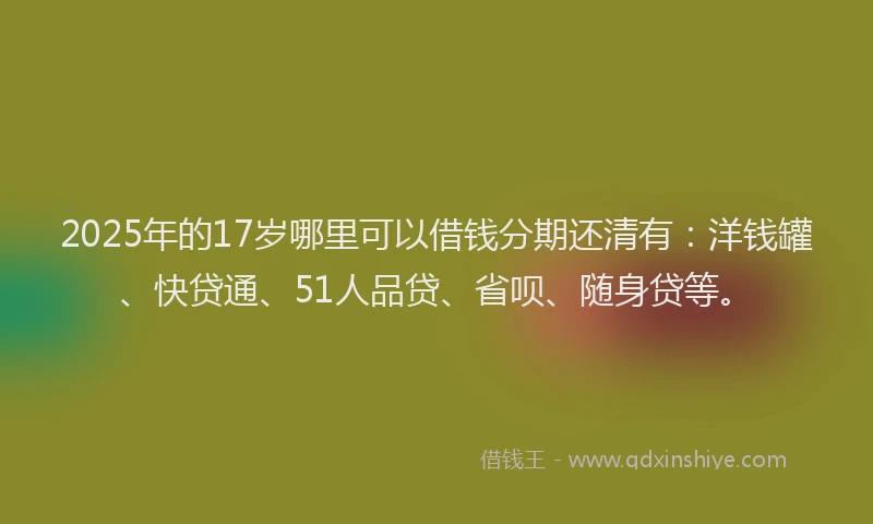 2025年的17岁哪里可以借钱分期还清有：洋钱罐、快贷通、51人品贷、省呗、随身贷等。