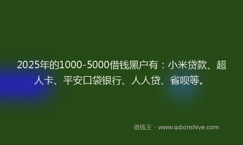 2025年的1000-5000借钱黑户有：小米贷款、超人卡、平安口袋银行、人人贷、省呗等。