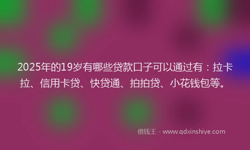 2025年的19岁有哪些贷款口子可以通过有：拉卡拉、信用卡贷、快贷通、拍拍贷、小花钱包等。