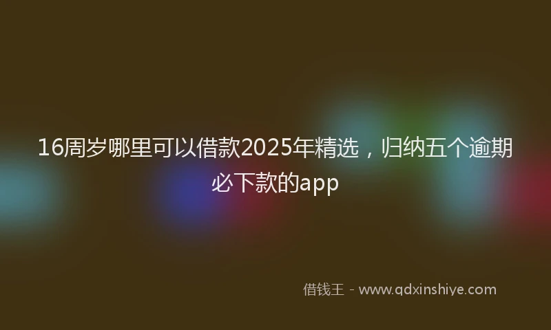 16周岁哪里可以借款2025年精选，归纳五个逾期必下款的app