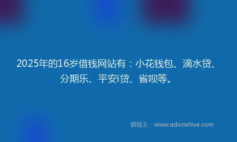 2025年的16岁借钱网站有：小花钱包、滴水贷、分期乐、平安i贷、省呗等。