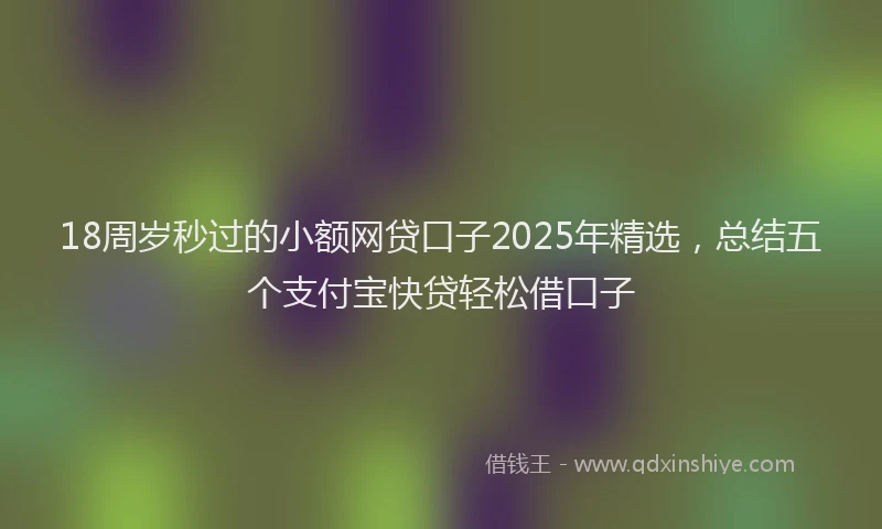 18周岁秒过的小额网贷口子2025年精选，总结五个支付宝快贷轻松借口子