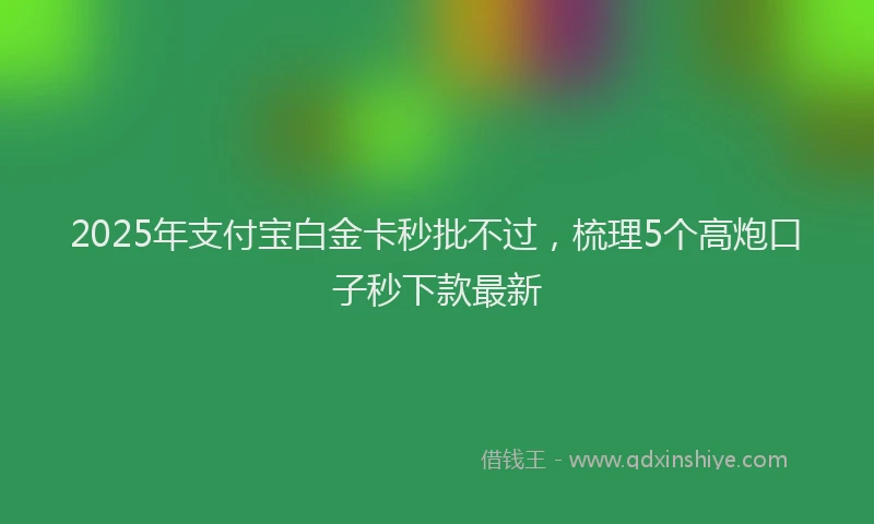 2025年支付宝白金卡秒批不过，梳理5个高炮口子秒下款最新