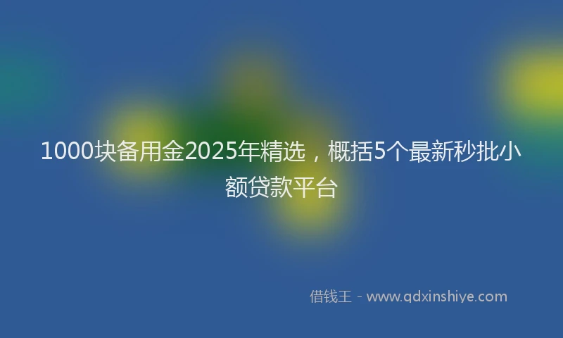 1000块备用金2025年精选，概括5个最新秒批小额贷款平台