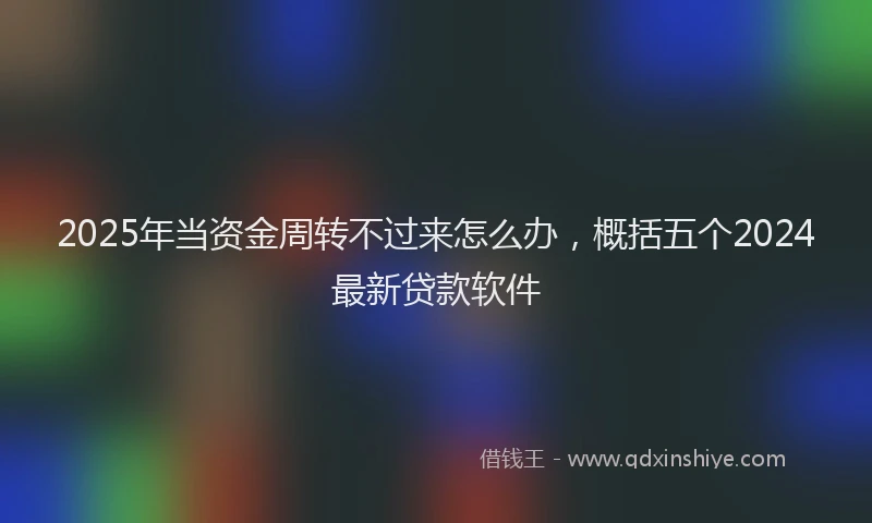 2025年当资金周转不过来怎么办，概括五个2024最新贷款软件