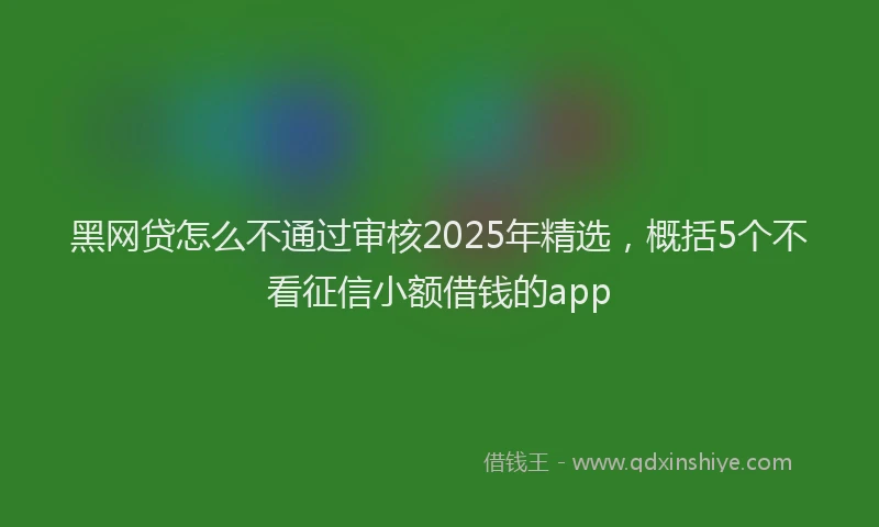 黑网贷怎么不通过审核2025年精选，概括5个不看征信小额借钱的app