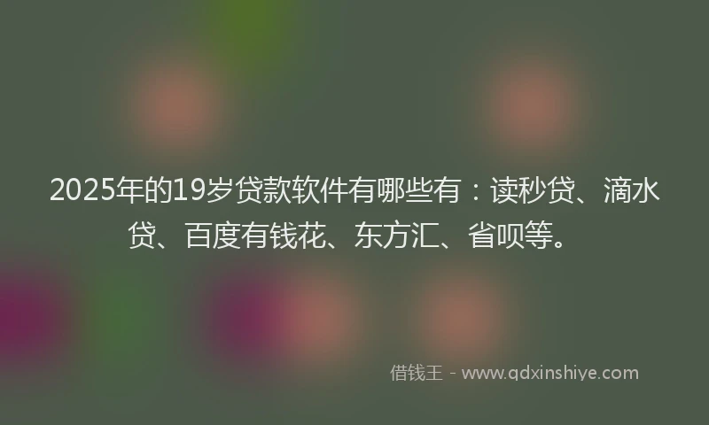2025年的19岁贷款软件有哪些有：读秒贷、滴水贷、百度有钱花、东方汇、省呗等。