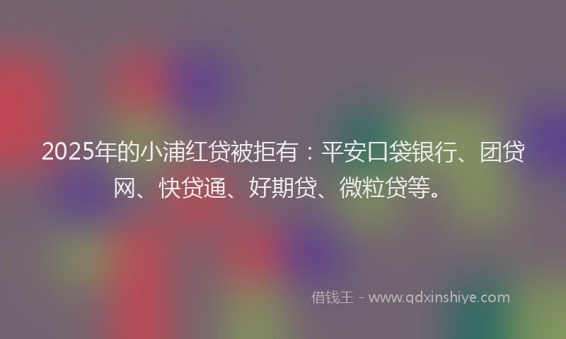 2025年的小浦红贷被拒有：平安口袋银行、团贷网、快贷通、好期贷、微粒贷等。