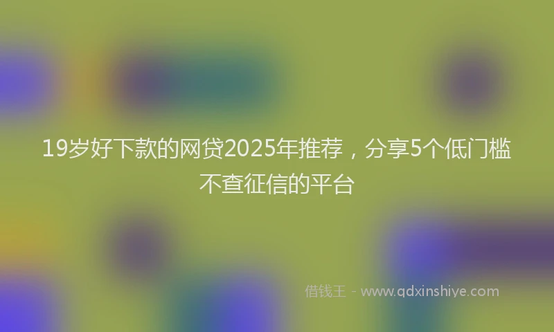 19岁好下款的网贷2025年推荐，分享5个低门槛不查征信的平台