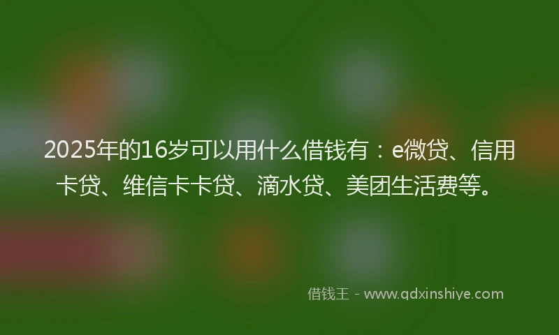 2025年的16岁可以用什么借钱有：e微贷、信用卡贷、维信卡卡贷、滴水贷、美团生活费等。