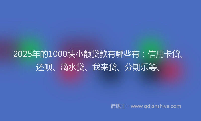 2025年的1000块小额贷款有哪些有：信用卡贷、还呗、滴水贷、我来贷、分期乐等。