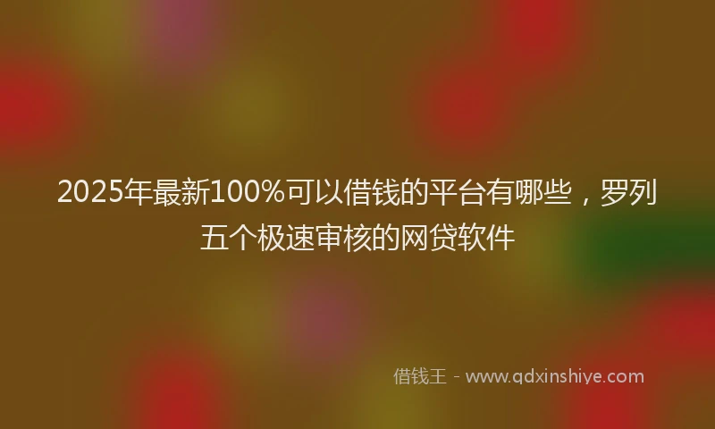 2025年最新100%可以借钱的平台有哪些，罗列五个极速审核的网贷软件