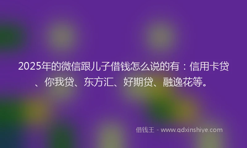 2025年的微信跟儿子借钱怎么说的有：信用卡贷、你我贷、东方汇、好期贷、融逸花等。