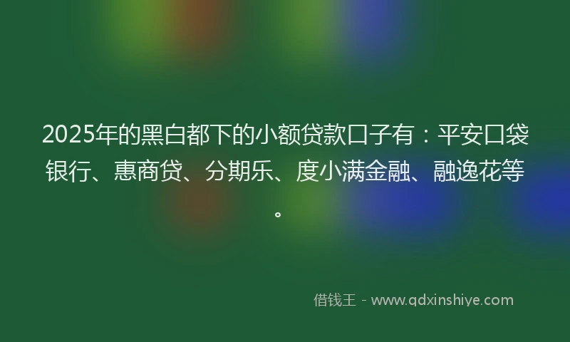 2025年的黑白都下的小额贷款口子有：平安口袋银行、惠商贷、分期乐、度小满金融、融逸花等。