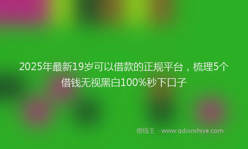 2025年最新19岁可以借款的正规平台，梳理5个借钱无视黑白100%秒下口子
