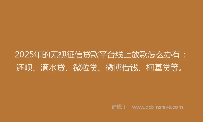 2025年的无视征信贷款平台线上放款怎么办有：还呗、滴水贷、微粒贷、微博借钱、柯基贷等。