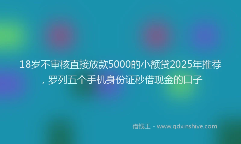 18岁不审核直接放款5000的小额贷2025年推荐，罗列五个手机身份证秒借现金的口子