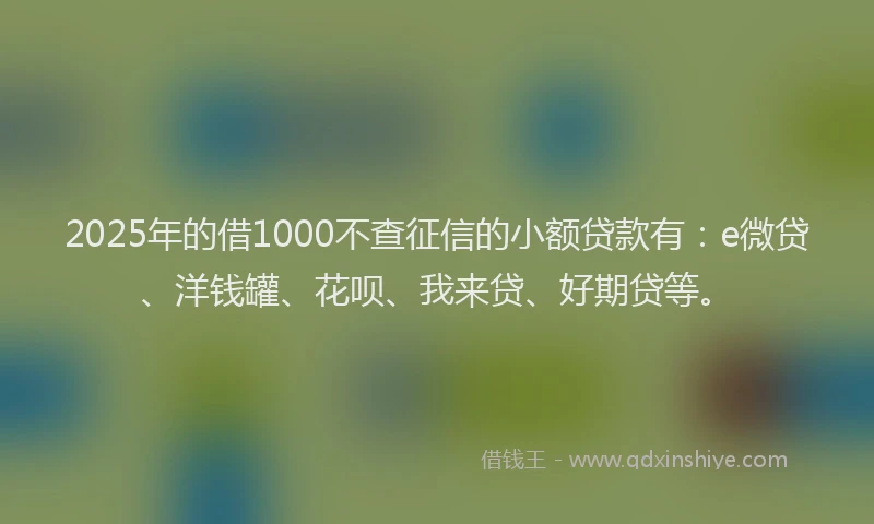 2025年的借1000不查征信的小额贷款有：e微贷、洋钱罐、花呗、我来贷、好期贷等。