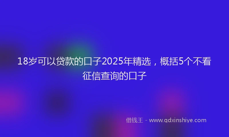 18岁可以贷款的口子2025年精选，概括5个不看征信查询的口子
