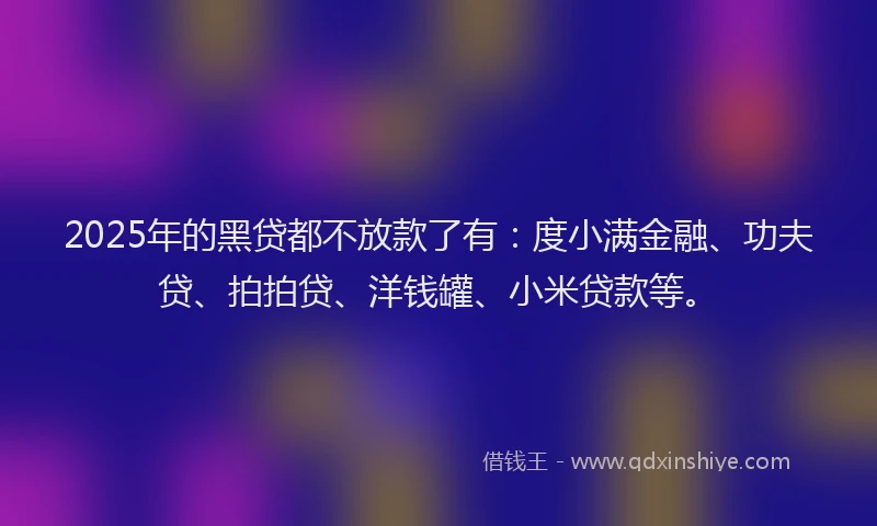 2025年的黑贷都不放款了有：度小满金融、功夫贷、拍拍贷、洋钱罐、小米贷款等。