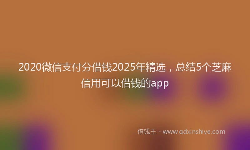 2020微信支付分借钱2025年精选，总结5个芝麻信用可以借钱的app
