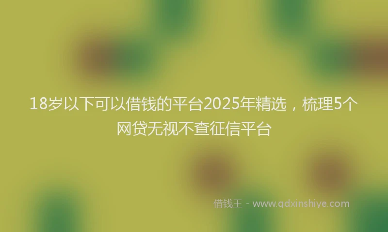 18岁以下可以借钱的平台2025年精选，梳理5个网贷无视不查征信平台