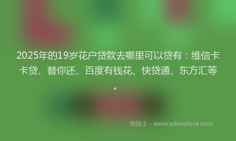 2025年的19岁花户贷款去哪里可以贷有：维信卡卡贷、替你还、百度有钱花、快贷通、东方汇等。