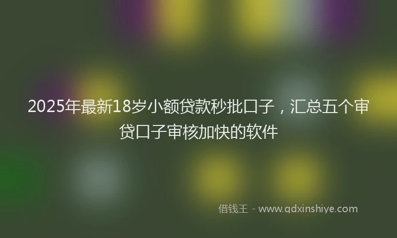 2025年最新18岁小额贷款秒批口子，汇总五个审贷口子审核加快的软件