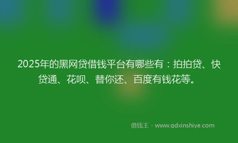2025年的黑网贷借钱平台有哪些有：拍拍贷、快贷通、花呗、替你还、百度有钱花等。