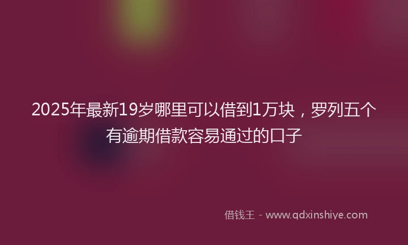 2025年最新19岁哪里可以借到1万块，罗列五个有逾期借款容易通过的口子