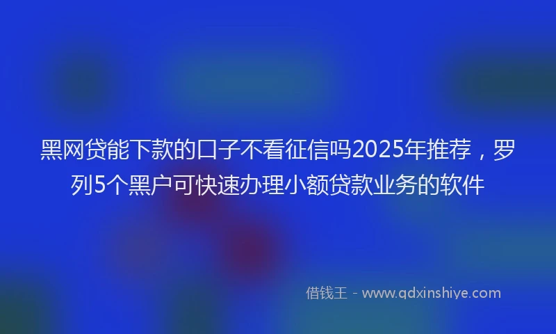 黑网贷能下款的口子不看征信吗2025年推荐，罗列5个黑户可快速办理小额贷款业务的软件