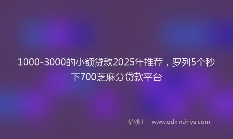1000-3000的小额贷款2025年推荐，罗列5个秒下700芝麻分贷款平台