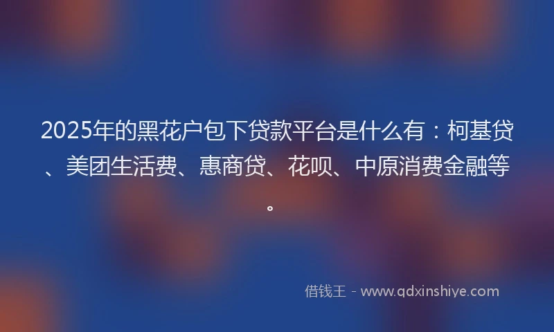 2025年的黑花户包下贷款平台是什么有：柯基贷、美团生活费、惠商贷、花呗、中原消费金融等。